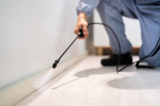 Bed Bug Pre-Treatment Preparation Assessment in Sulligent