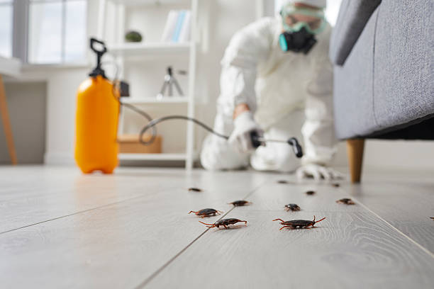 Post-Treatment Bed Bug Interceptor Monitoring in Sulligent