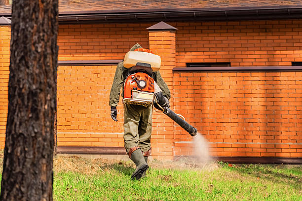 Bed Bug Clearance Verification and Documentation in Sulligent